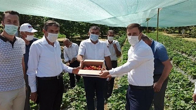 Tarla günü düzenlendi