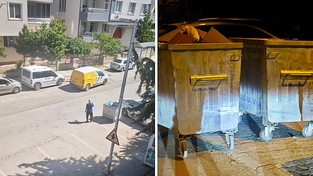 Malatya'da çöp konteyneri krizi büyüdü! Belediye 'Önce kendi aranızda anlaşın' dedi