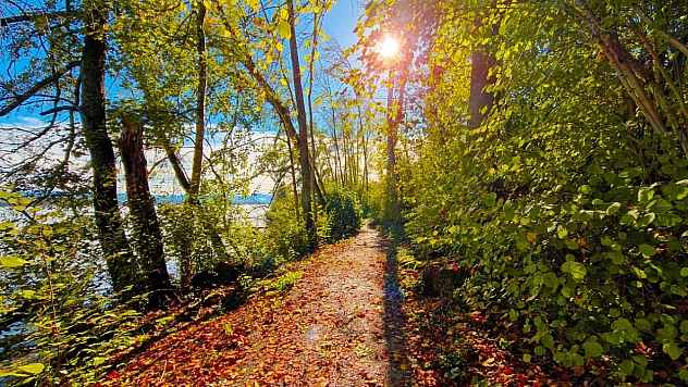 Malatya'da dereceler 39'u görecek