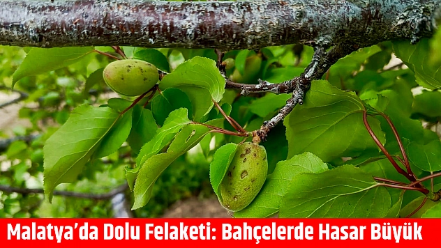 Malatya'da dolu felaketi: Bahçelerde hasar büyük