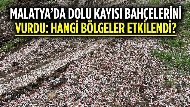 Malatya'da Dolu Kayısı Bahçelerini Vurdu: Hangi Bölgeler Etkilendi?