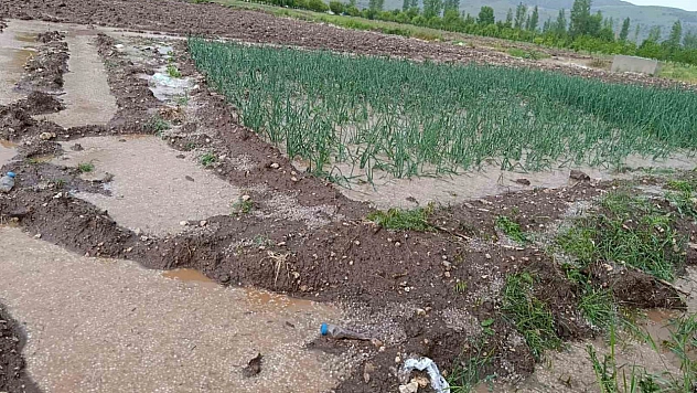 Malatya'yı şiddetli yağış: Tarım arazileri su altında kaldı