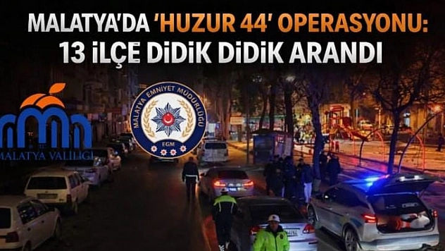 Malatya'da 'Huzur 44' Operasyonu: 13 İlçe Didik Didik Arandı