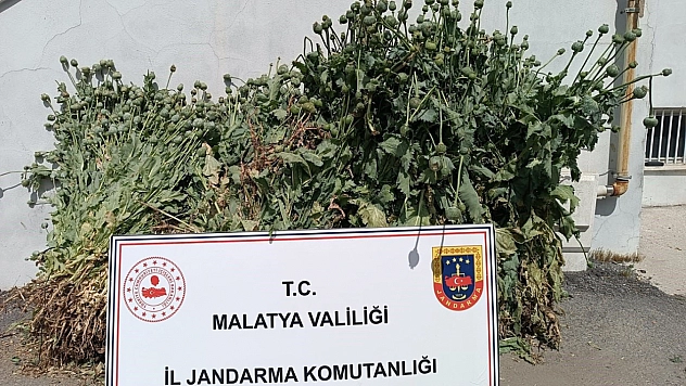 Malatya'da jandarmadan uyuşturucuya darbe: 18 firari yakalandı
