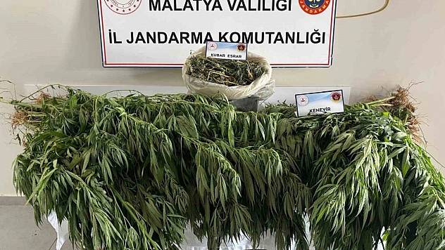 Malatya'da jandarmadan uyuşturucu operasyonu