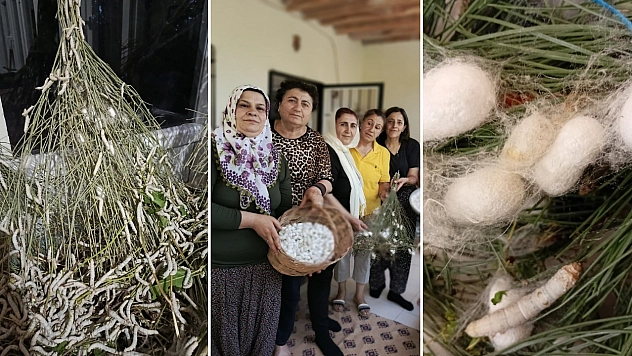 İpek böceği Malatyalıların geçim kaynağı oldu