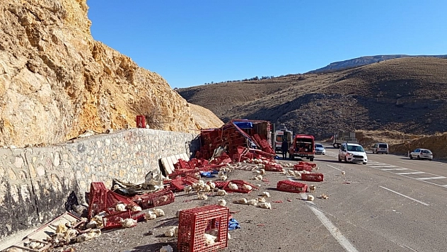 Malatya'da kamyon devrildi! Yüzlercesi yola savruldu