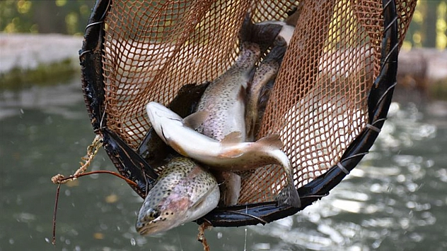 Malatya'da Kapıkaya Barajı 10 yıllığına kiralanacak
