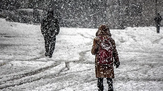 Malatya'da Kar Engeli: 4 İlçede Taşımalı Eğitime Ara Verildi
