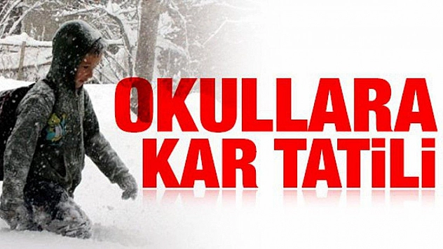 Malatya'da Kar Nedeniyle Eğitime 1 Gün Ara: İlçe İlçe Tatil Listesi