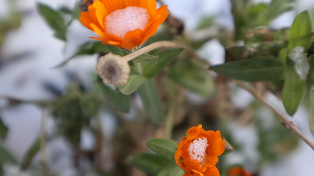 Malatya'da Kar Yağışı Etkili Olacak Dikkat!