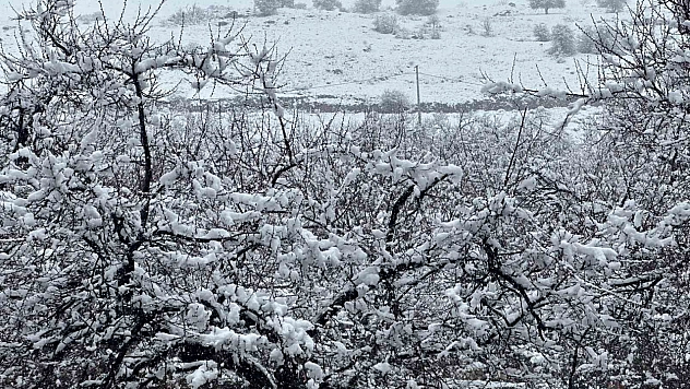 Meteoroloji günler önce uyarmıştı! Malatya'da beklenen oldu! Kar altında kaldı