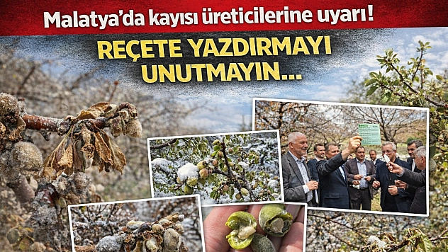 Malatya'da kayısı üreticilerine uyarı! Reçete yazdırmayı unutmayın...