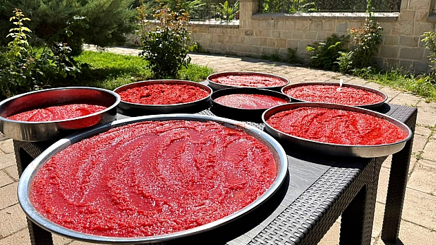 Malatya'da kış hazırlığı başladı: Domates ve biberler sofralık lezzetlere dönüşüyor