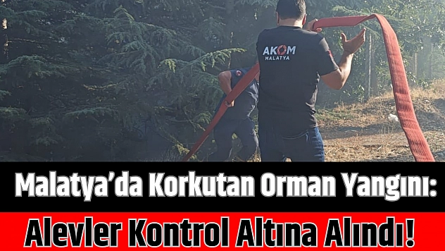 Malatya'da Korkutan Orman Yangını: Alevler Kontrol Altına Alındı!