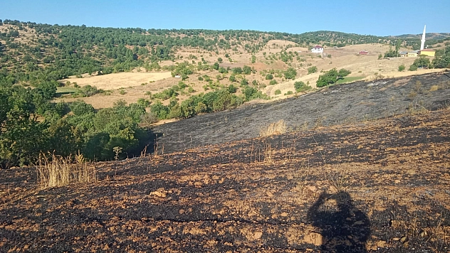 Malatya'da korkutan yangın: 2 ev kül oldu, 20 dönüm bahçe zarar gördü