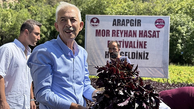 Malatya'da Kozluk Çayı kenarında hasadı başladı. Bölge ekonomisine katkı sağlıyor
