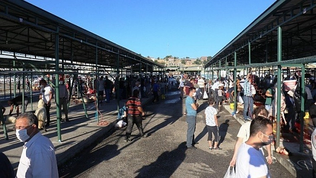 Kesim alanlarında yoğunluk
