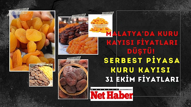 Malatya'da kuru kayısı fiyatları düştü! Serbest piyasa kuru kayısı 31 Ekim fiyatları