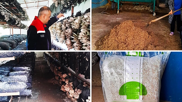 Malatya'da mantar üretim tesisleri denetlendi
