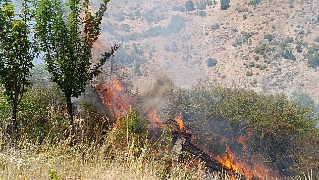 Malatya'da bahçe yangını: Meyve ağaçları ve üzüm bağları kül oldu!