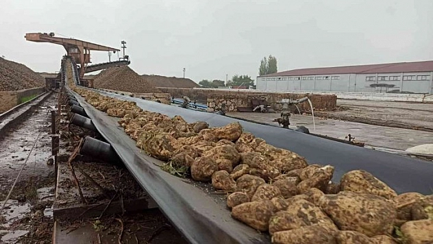 Pancar sezonu sona erdi