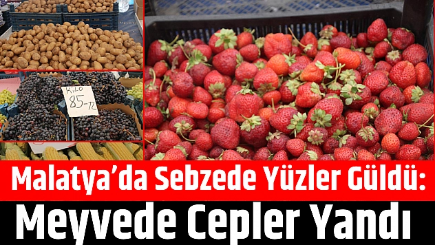 Malatya'da Sebzede Yüzler Güldü, Meyvede Cepler Yandı! Peki, Hangi Meyve ve Sebze Ne Kadar Oldu?