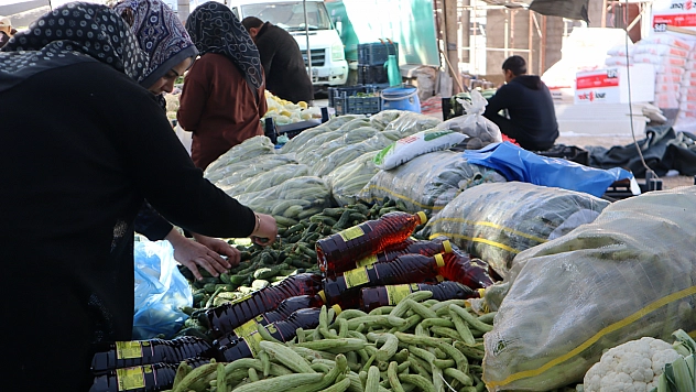 Malatya'da turşu kurmak pahalıya patladı! Peki pazarda turşu malzemelerinin fiyatı nedir?