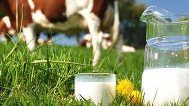 Malatya'da üreticiye rekor destek: 3,6 milyar TL'lik hibe