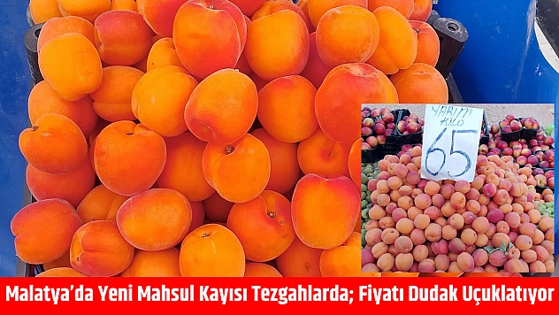 Malatya'da Yeni Mahsul Kayısı Tezgahlarda Fiyatı Dudak Uçuklatıyor
