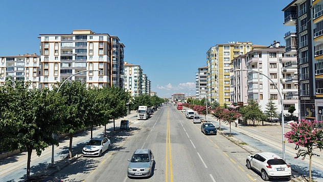 Malatya'da yeşil seferberlik: Kent genelinde binlerce ağaç toprakla buluştu