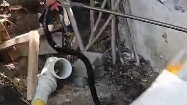 Malatya'da dev yılan görüldü!