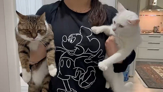 Malatya'da yıllardır süren yanlış anlayış çürütüldü