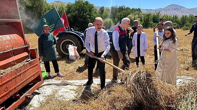 Malatya'da yüzde 75 hibe desteğiyle ekimi yapıldı: Çölyak hastaları için besin kaynağı oluyor
