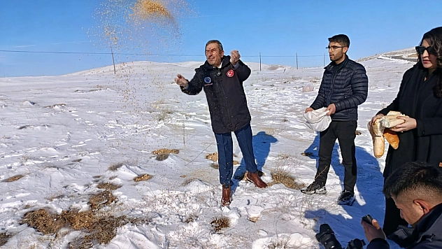 Malatya'da Zorlu Kış Seferberliği: Yaban Hayvanları İçin Yemleme Başladı