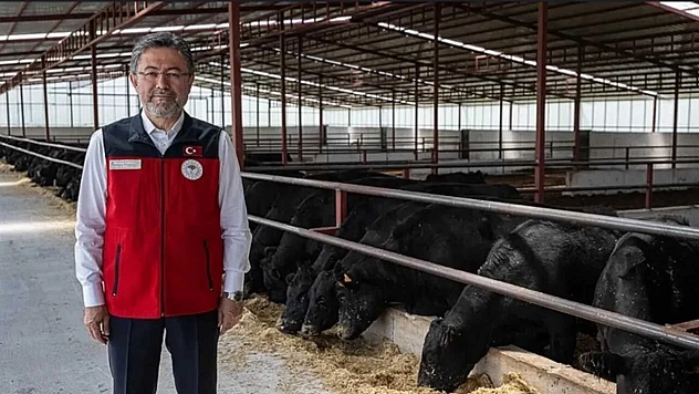 Malatya'daki ahırlar tamamen dolacak: Üreticinin geliri garanti altına alınıyor…