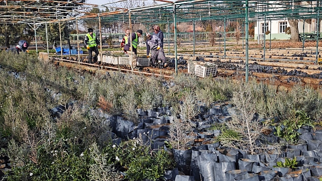 Malatya'dan Orta Asya'ya yeşil köprü |50 bin fidan Türkmenistan yolunda
