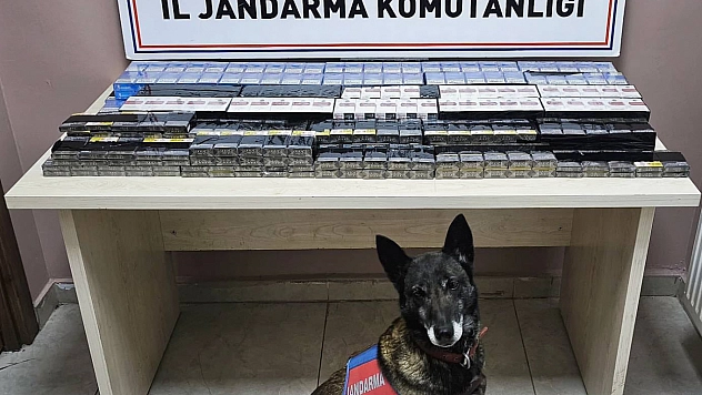 Malatya Karayolunda Jandarma Denetimi: 2 Ayrı Tırda Kaçakçılık