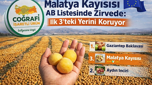 Malatya Kayısısı AB Listesinde