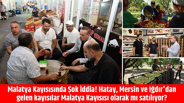 Hatay, Mersin ve Iğdır'dan gelen kayısılar Malatya Kayısısı olarak mı satılıyor?