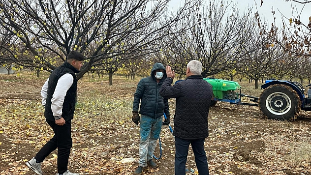 Malatya Kayısısında Verimi Artıracak Kritik Uyarı: Sonbahar İlaçlaması Başladı!