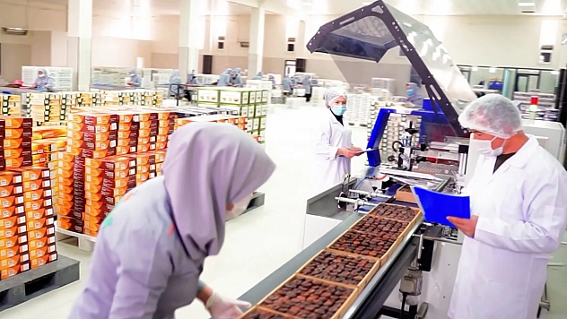 Malatya kayısısından 247 milyon dolarlık gelir