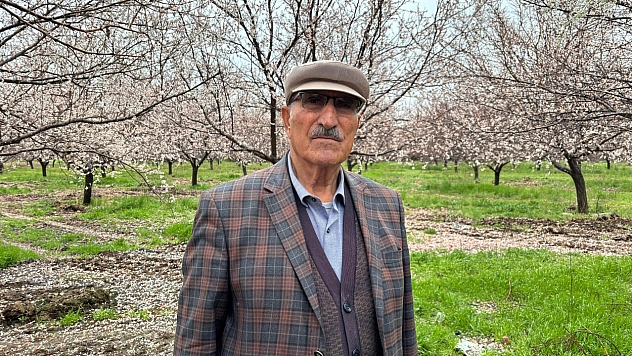 Malatya'da kayısıyı dolu vurdu: Çiftçi umudunu kaybetti