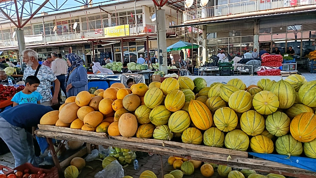 Malatya'nın Irmaklı kavunu tezgahlarda yerini aldı