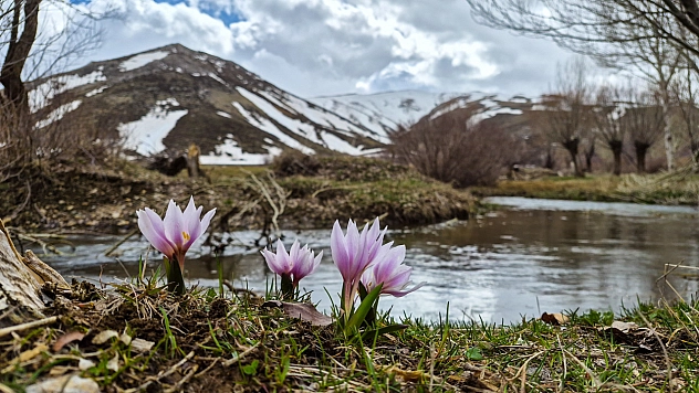 Malatya'nın Saklı Mücevherleri Topraktan Fışkırdı!