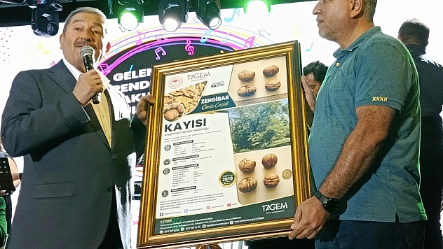 Malatya'nın yeni tarım yıldızı: Zengibar Cevizi dünya çeşitleriyle yarışıyor