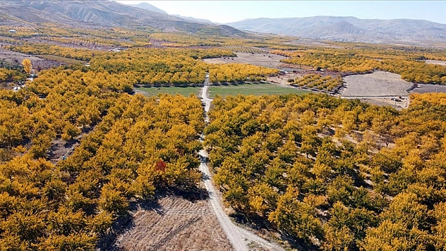 Malatya Ovası Korumaya Alındı