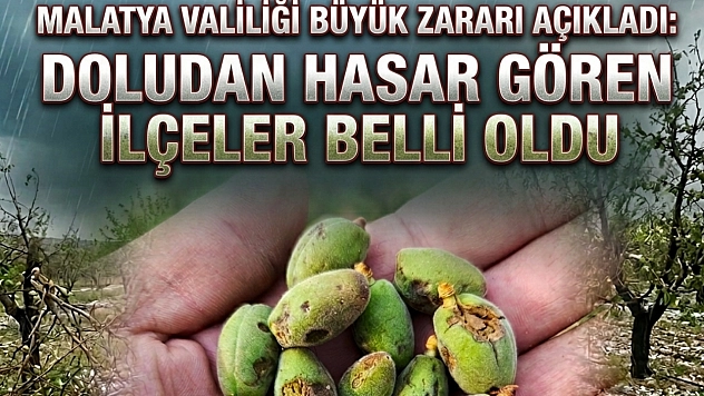 Malatya Valiliği dolu bilançosunu açıkladı: 9 ilçe 49 mahallede kayısı hasar gördü!
