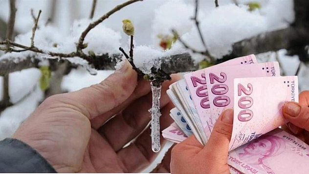 Malatya ve 36 ilde zirai don destekleri artıyor: 6,5 milyar TL daha ödenecek