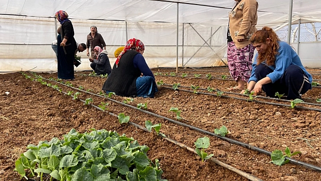 Malatya'ya çalışmaya geliyorlardı! Artık kendi arazilerinde üretim yapıyorlar